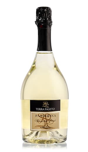 Terra Fageto https://test.terrafageto.it/it/Bollicine